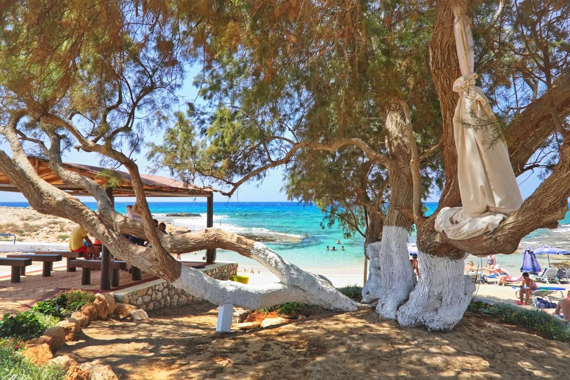Sea Pearl Beachfront Villas - Breeze Aya Napa Dış mekan fotoğraf
